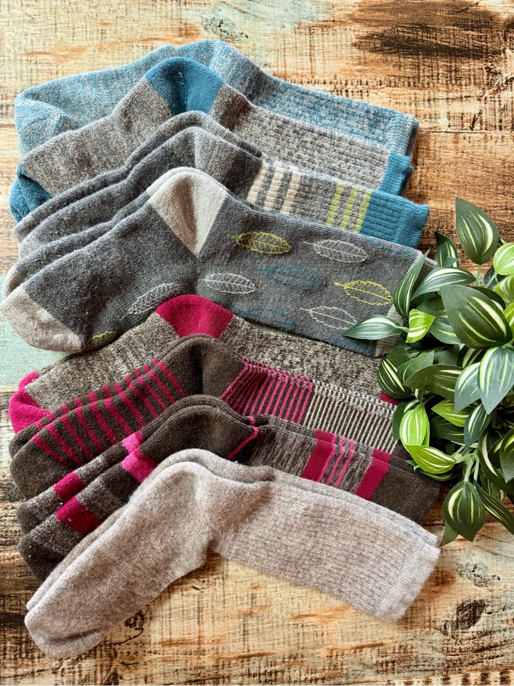 Women’s Crew Socks | Set of 8 | #S36